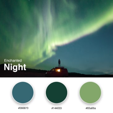 12. Enchanted Night - Branding Color Palette #366873 #144033 #83a66a