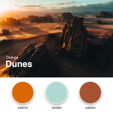 2. Orange Dunes
#d96704
#f2A663
#a65233