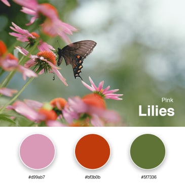 15. Pink Lilies - Branding Color Palette #d99ab7 #bf3b0b #5f7336