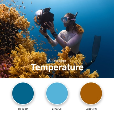 3. Submarine Temperature - Branding Color Palette #03658c #55b3d9 #a65d03