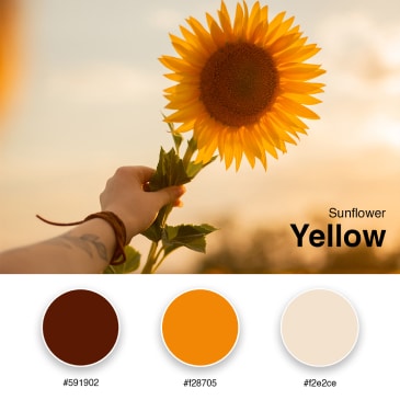 13. Sunflower Yellow - Branding Color Palette #591902 #f28705 #f2e2ce