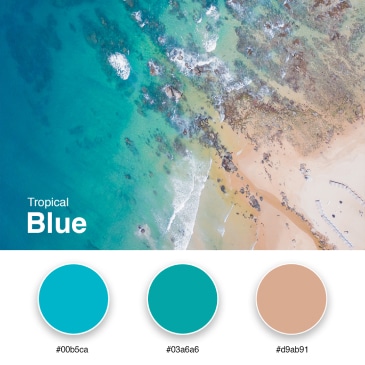6. Tropical Blue - Branding Color Palette #00b5ca #03a6a6 #d9ab91