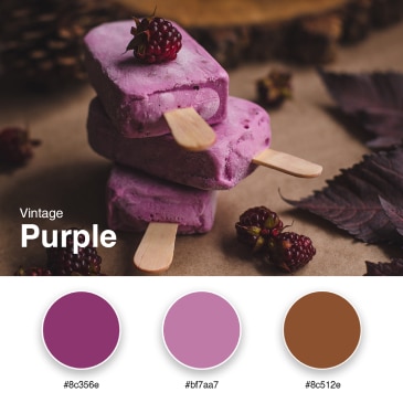 10. Vintage Purple - Branding Color Palette #8c356e #bf7aa7 #8c512e