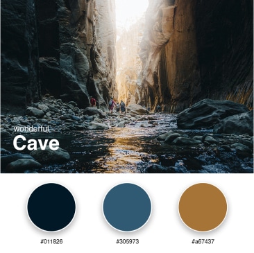 1. Wonderful cave Branding Color Palette
#011826
#305973
#a67437